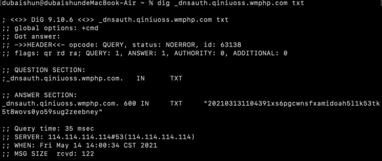 dig查询域名txt记录-完美源码 dig查询域名txt记录-完美源码