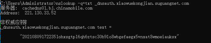DNS查询TXT记录