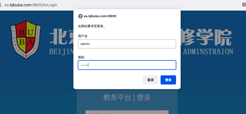 宝塔Java项目访问密码