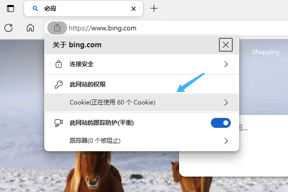 newbing设置方法-完美源码 newbing设置方法-完美源码