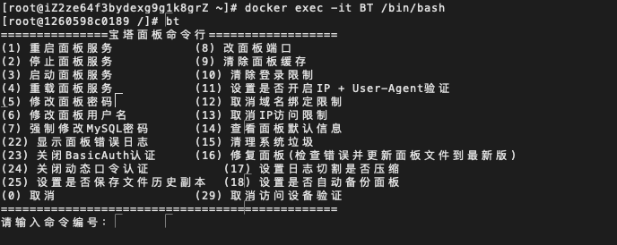docker 安装宝塔在将镜像转移到另一台服务器实战